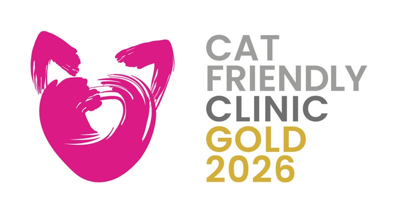 Cat Friendly Clinic Gold 2026