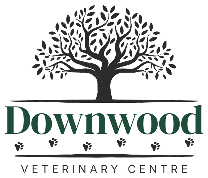 Downwood Veterinary Centre
