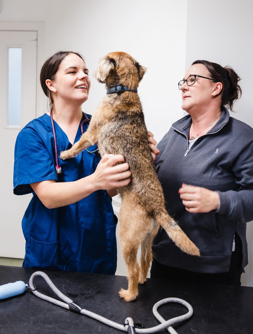 Downwood team members with a dog during a consult