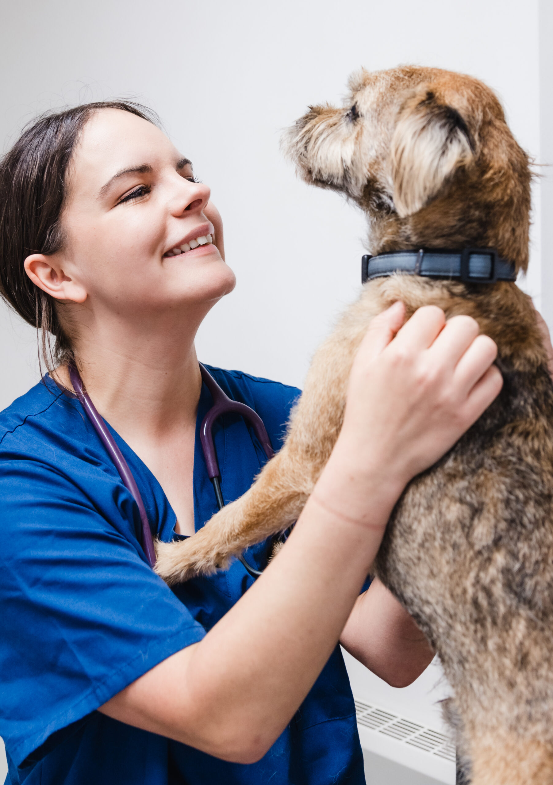 A Downwood vet holding a terrier up on the consulting table, the two of them looking at each other