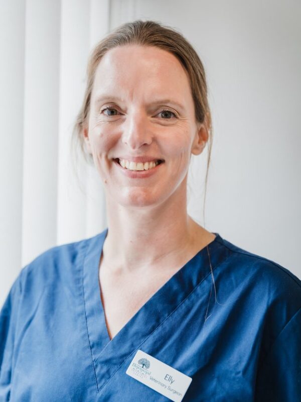 Elly Brocklebank, Veterinary Surgeon at Downwood