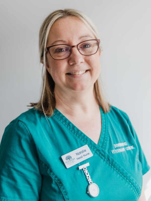 Natalie Roberts, Head RVN, Cat Advocate at Downwood